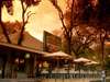 Perry's Bridge Hollow - Restaurant 